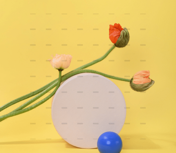 demo-attachment-261-pexels-daria-liudnaya-7354444-min